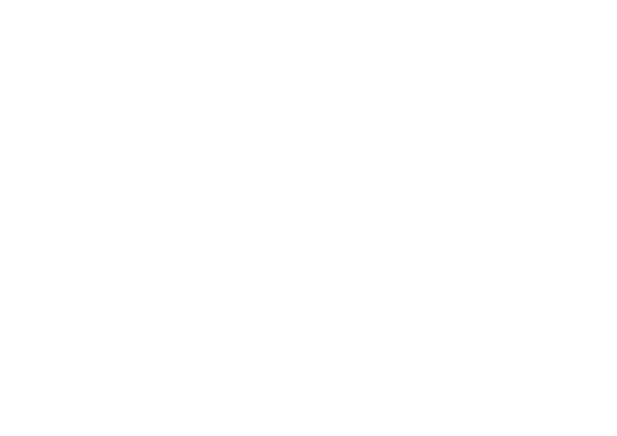 Grey Phoenix Logo white